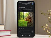 Ein Eichhörnchen, das eine Walnuss hält und aus einem Baum in einer lebhaften Waldlandschaft herauskommt.