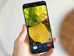 Eine Person hält ein Smartphone, das lebendige grüne und gelbe Blätter zeigt.