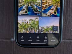 Ein Smartphone-Bildschirm zeigt eine Google Fotos-Oberfläche mit vier Bildern eines Poolbereichs und Palmen.