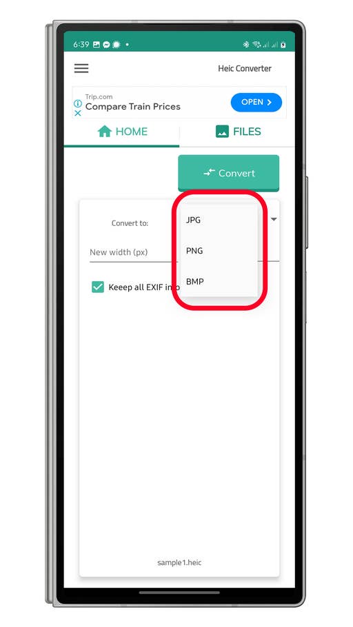 HEIC-Konverter-Oberfläche zeigt Dateiformatoptionen: JPG, PNG, BMP und Kontrollkästchen zur EXIF-Erhaltung.