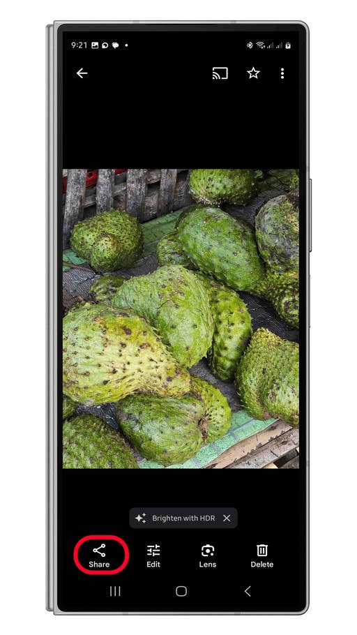 So verwendet Ihr die Gemini-Bildersuche über das Freigabemenü Schritt 1