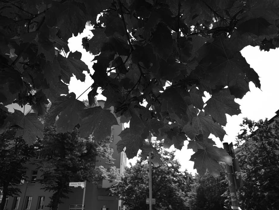 Huawei Mate Xs 2 Testfotos 15