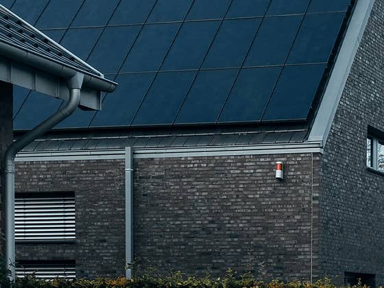 Stresstest für Solaranlagen: Katastrophales Ergebnis sorgt für Weckruf