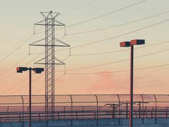 Strommäste bei Abenddämmerung