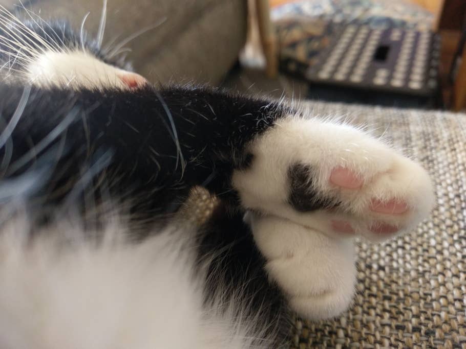 Aufgenommen mit der 12-Megapixel-Hauptkamera des HTC 10