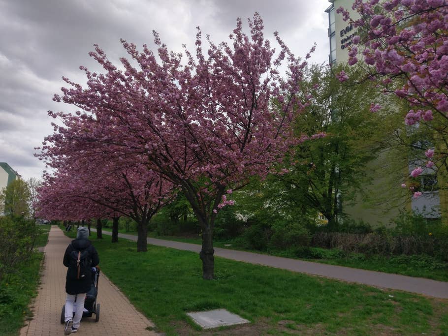 Aufgenommen mit der 12-Megapixel-Hauptkamera des HTC 10