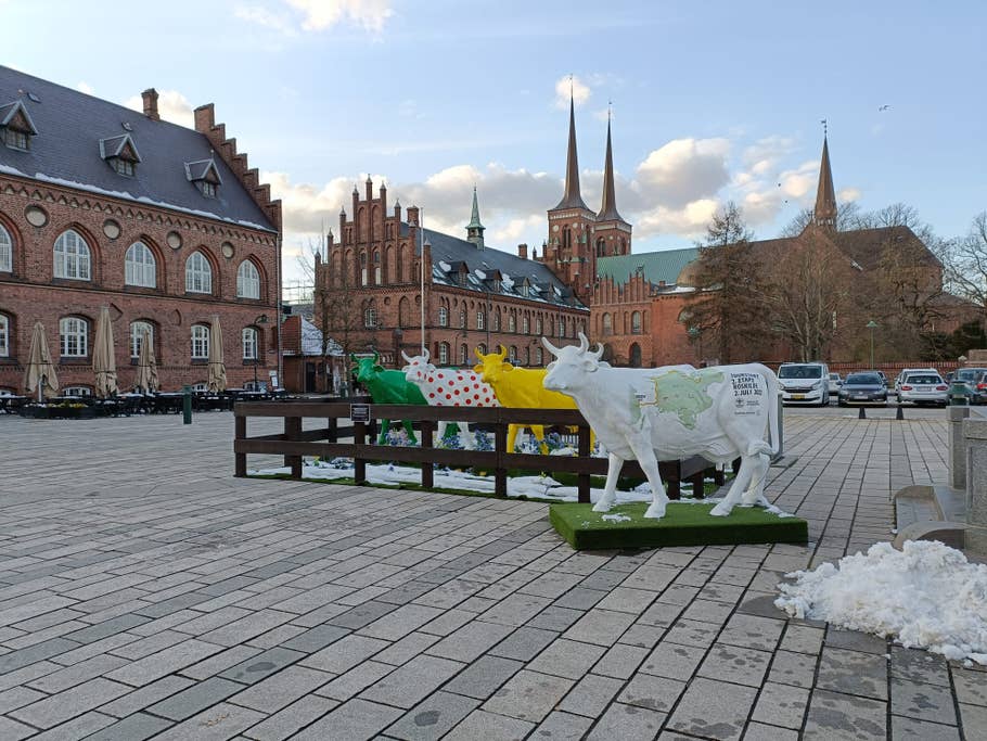 Oppo Find X5 lite Weitwinkelkamera