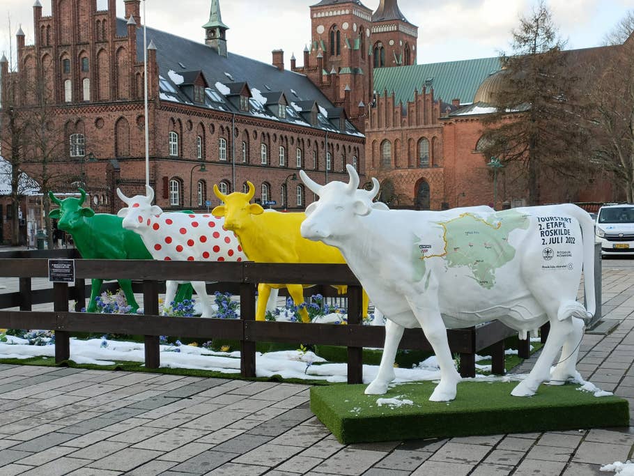 Oppo Find X5 lite Weitwinkelkamera mit 2-fach-Zoom