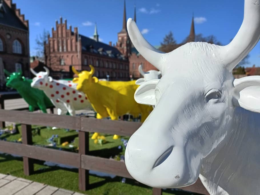 Oppo Find X5 lite weitwinkel mit Porträtmodus