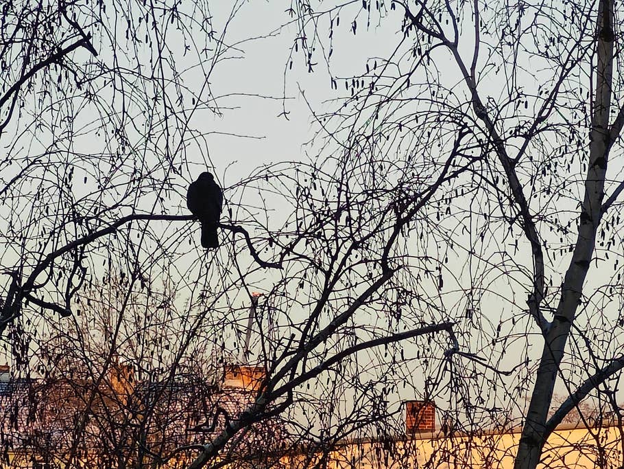 Testaufnahme mit dem OnePlus 11 5G.