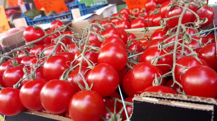 Huawei, Ascend Mate 7, Kamera, Fotos, Bild