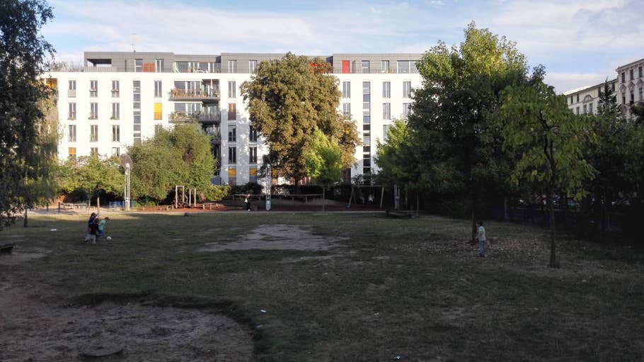 Huawei, Ascend Mate 7, Kamera, Fotos, Bild