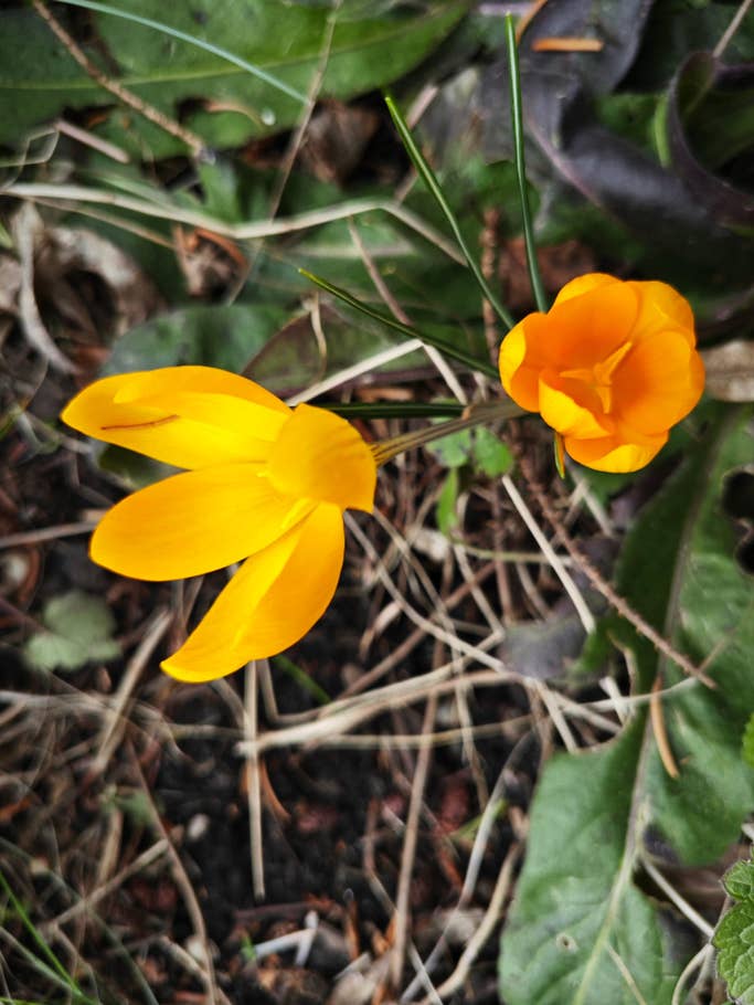 Mit dem Xiaomi 13 erstellte Testfotos