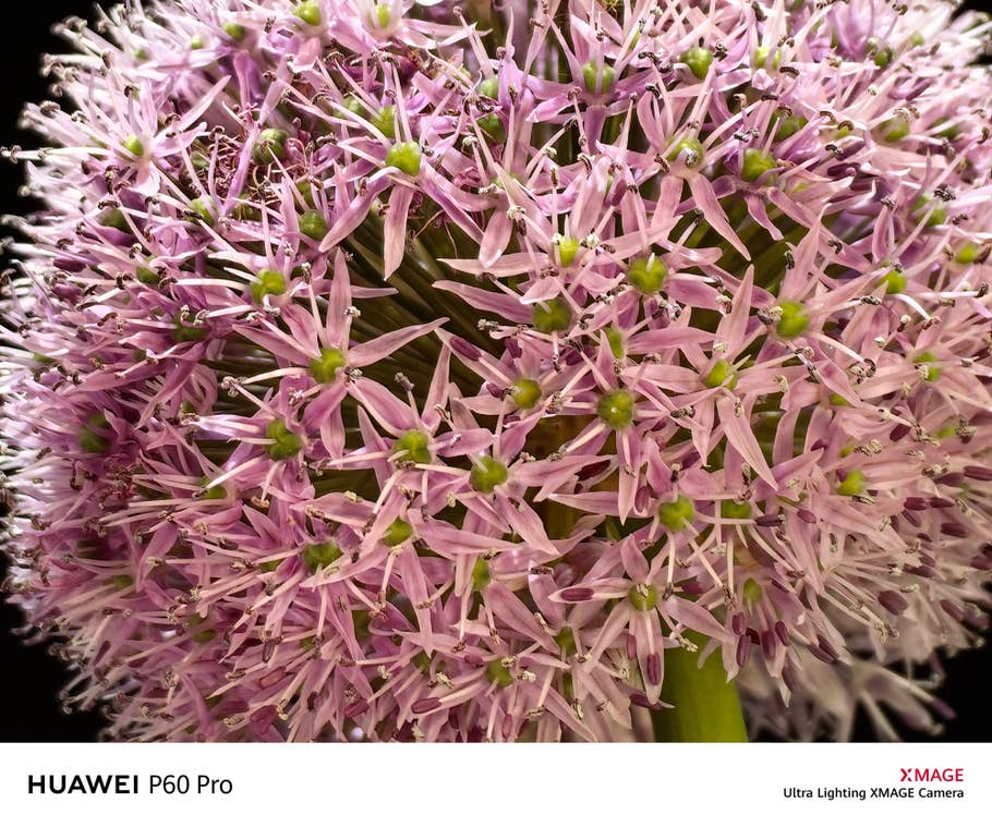 Testfoto mit der Kamea des Huawei P60 Pro