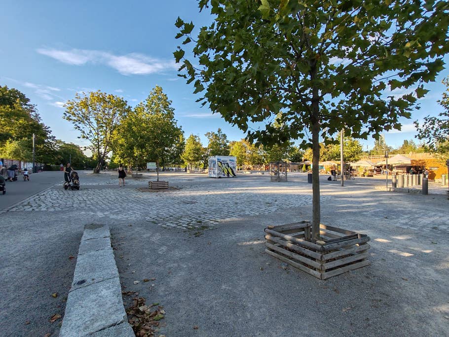 Testfoto mit dem Honor 90