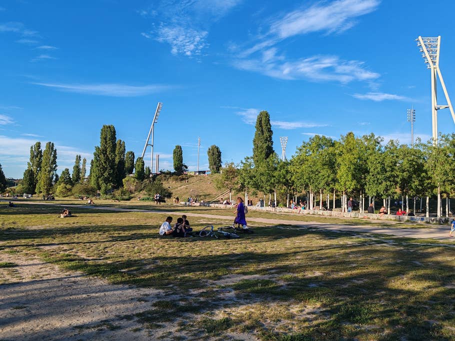 Testfoto mit dem Honor 90