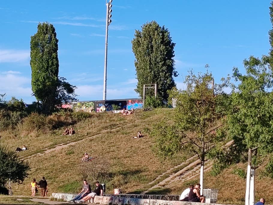 Testfoto mit dem Honor 90