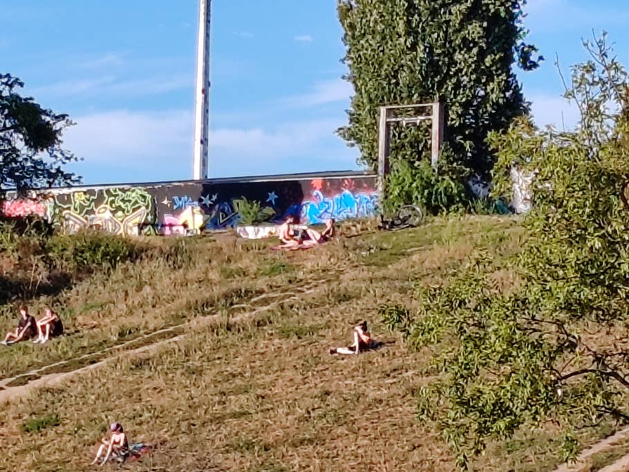 Testfoto mit dem Honor 90