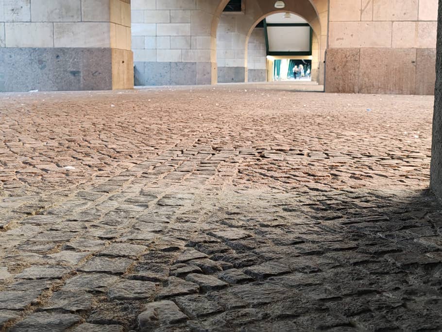 Testfoto mit dem Honor 90