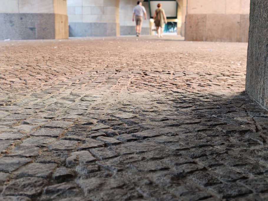 Testfoto mit dem Honor 90