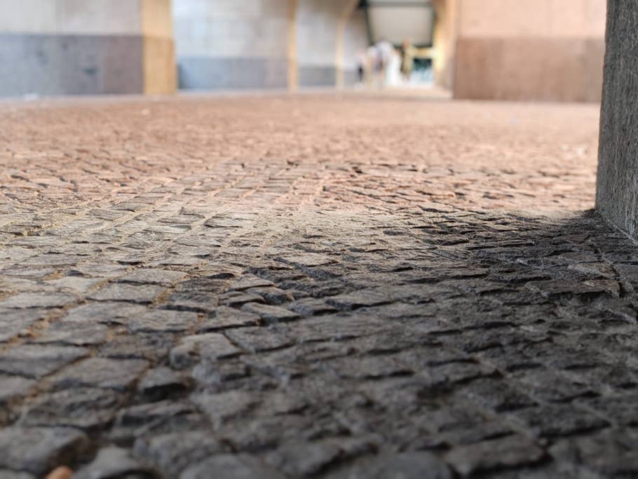 Testfoto mit dem Honor 90