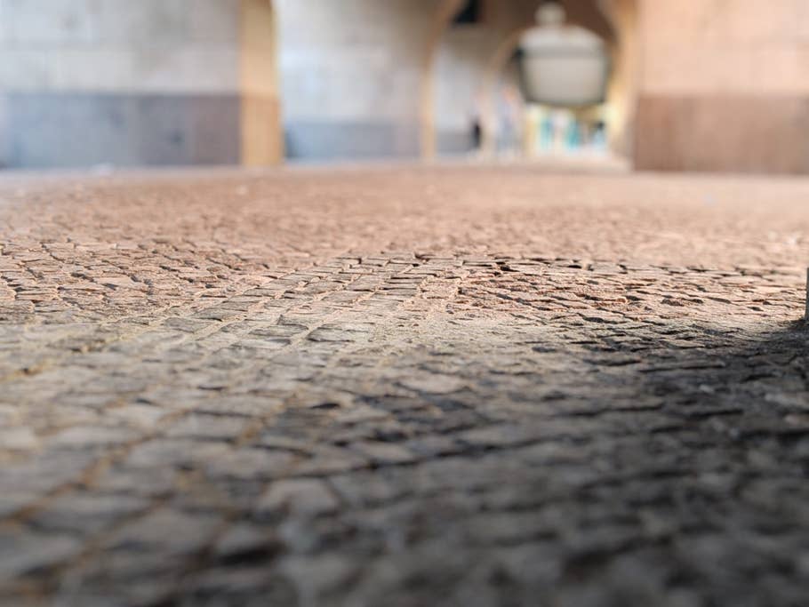 Testfoto mit dem Honor 90