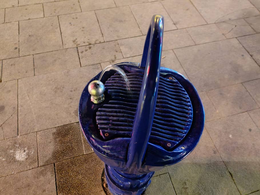 Testfoto mit dem Honor 90