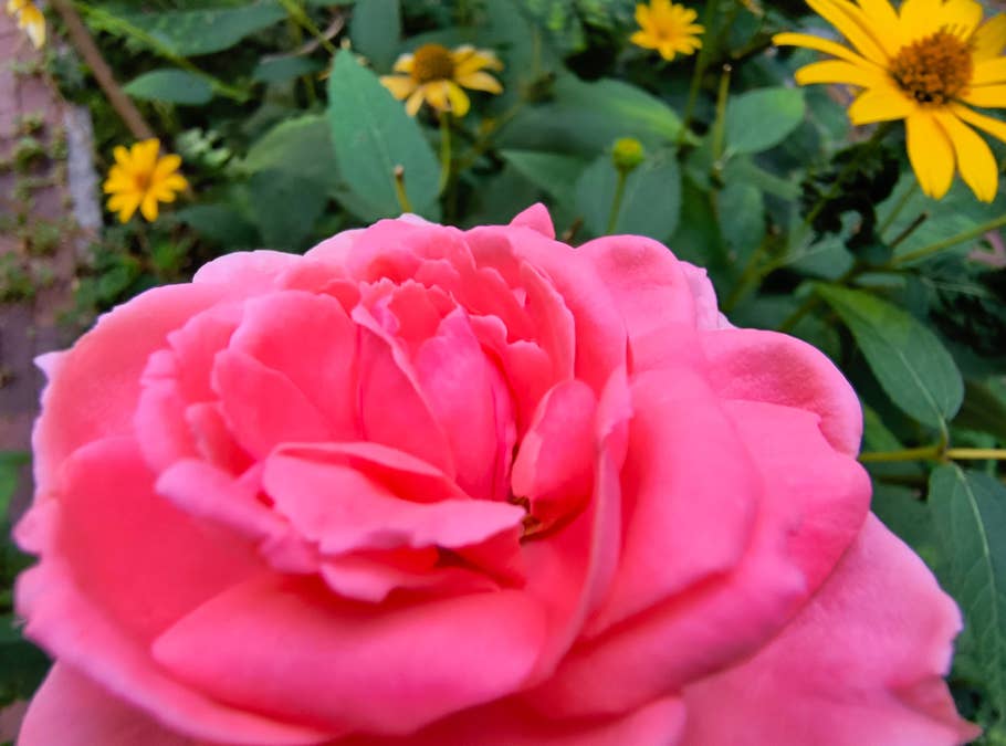 Testfotos des Motorola Edge 40 Neo