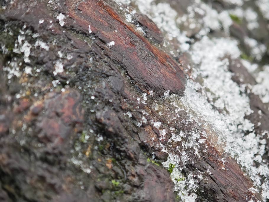 Testaufnahme mit dem Xiaomi 14 Pro