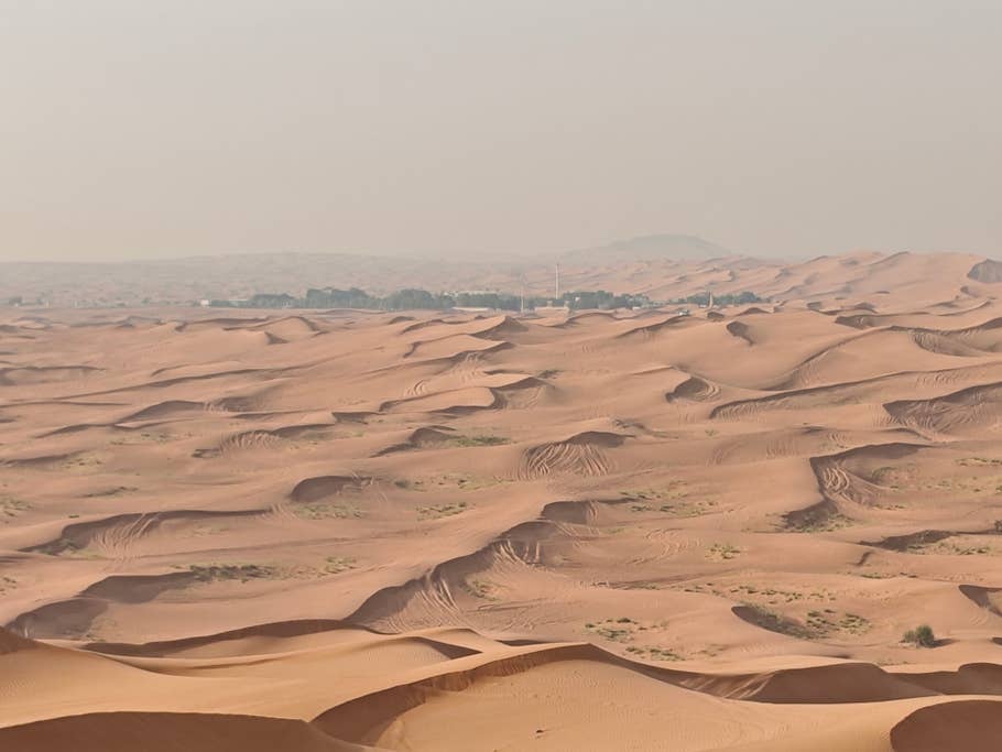 Poco F6: Hauptkamera (4x Digitalzoom)