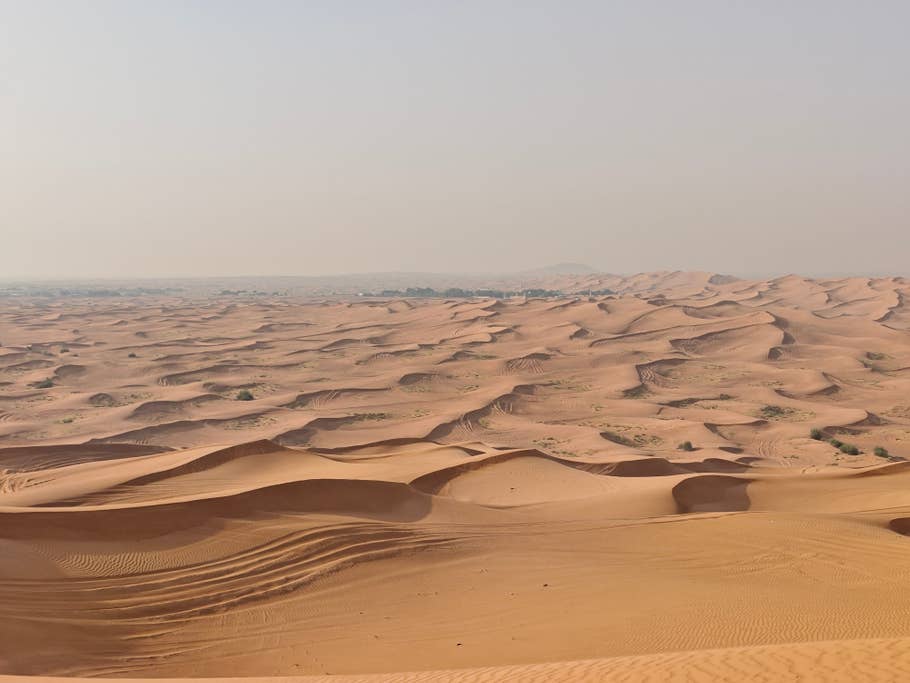 Poco F6: Hauptkamera (2x Digitalzoom)