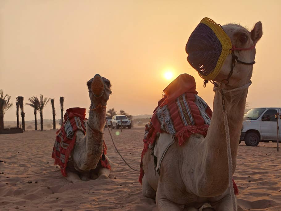 Poco F6: Hauptkamera (2x Digitalzoom)