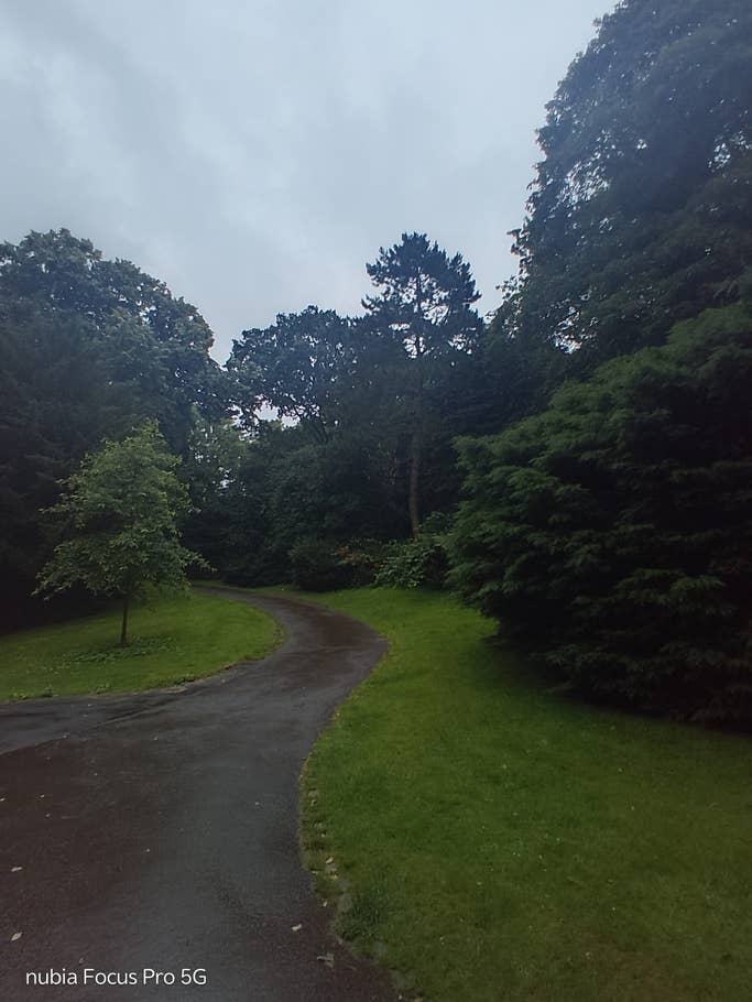 Ultraweitwinkelkamera des nubia Focus Pro 5G