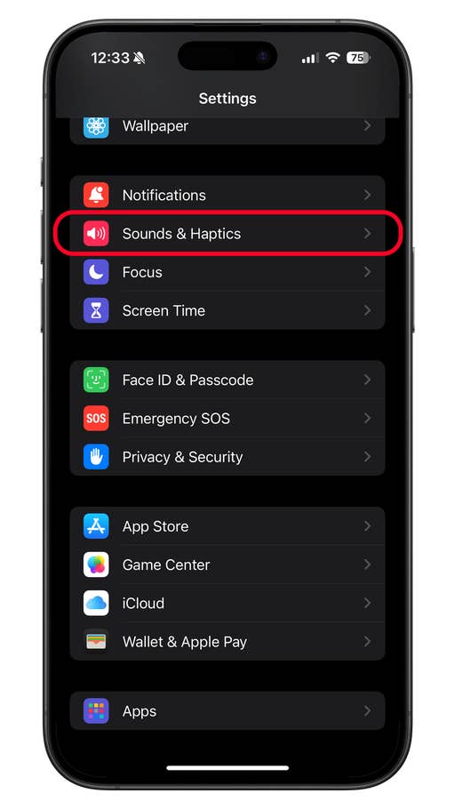 Menü „Einstellungen“ auf einem iPhone mit markierter Option „Sounds und Haptik“.
