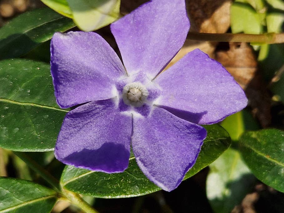 Samsung Galaxy S22 Testbilder 30