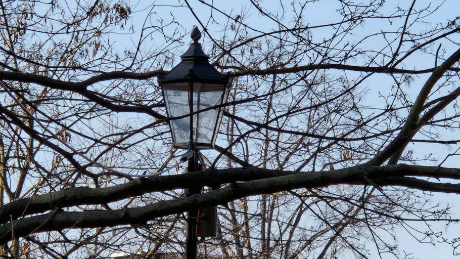 Samsung Galaxy S22 Testbilder 29