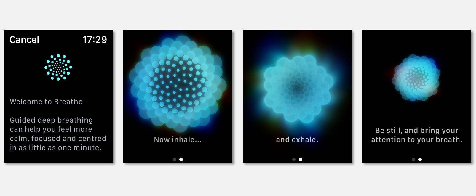 NextPit apple watch breathing routine