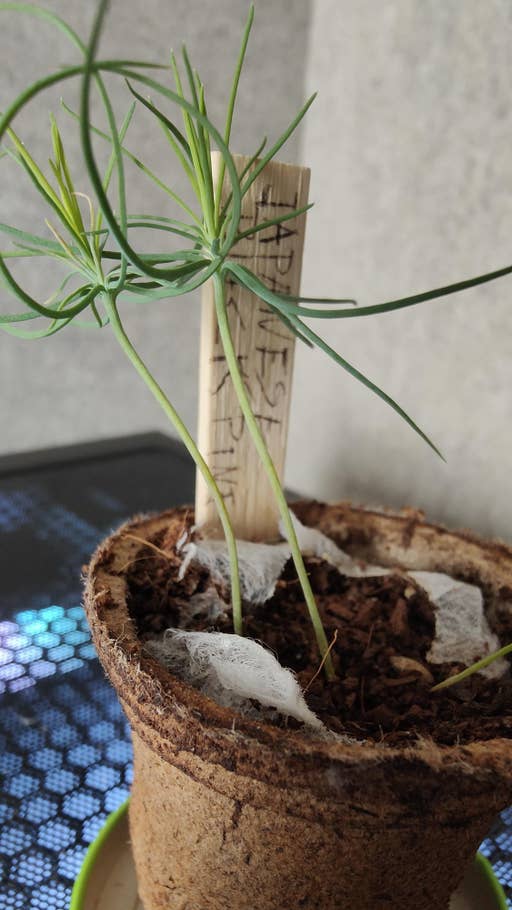 Oppo Find X5 Testbild 12