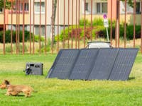 Ecoflow bifaziales 220-W-Solarpanel