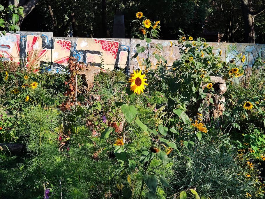 Hier seht Ihr ein Testfoto des Motorola Edge 30 Ultra