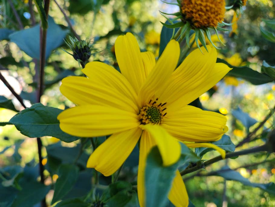 Hier seht Ihr ein Testfoto des Motorola Edge 30 Ultra