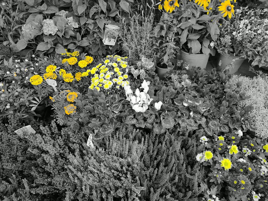 Hier seht Ihr ein Testfoto des Motorola Edge 30 Ultra