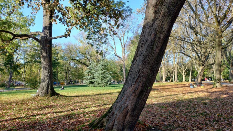 Herbstlicher Westpark in Dortmund