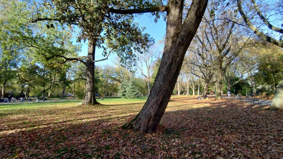 Herbstlicher Westpark in Dortmund