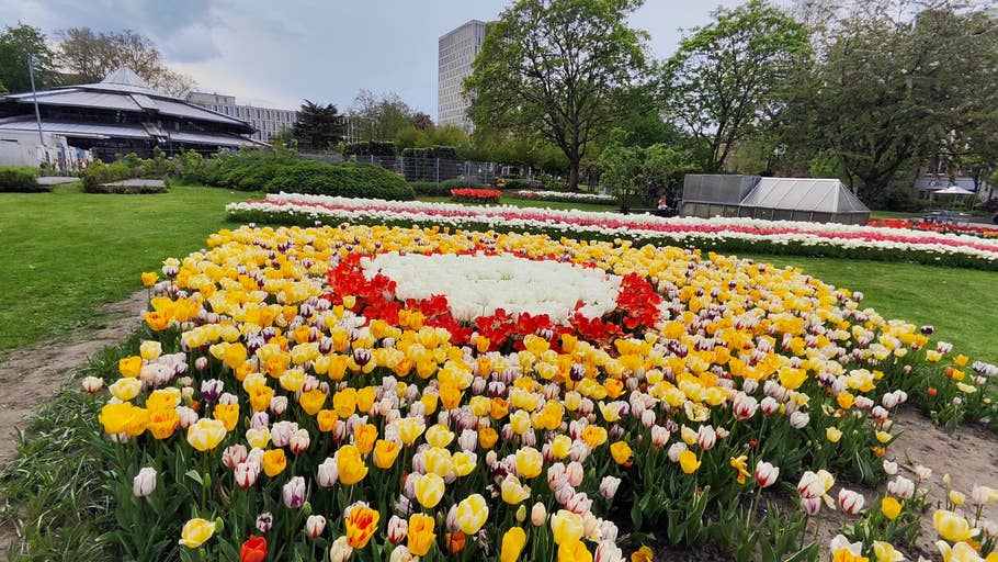 Poco M5 Pro Beispiel-Foto