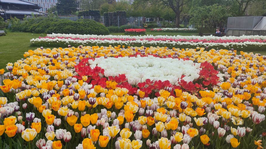 Poco M5 Pro Beispiel-Foto