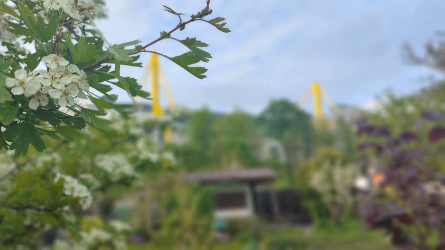 Poco M5 Pro Beispiel-Foto