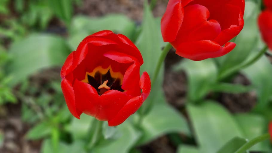 Samsung Galaxy S22+ Kameratest 19