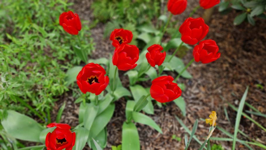 Samsung Galaxy S22+ Kameratest 20