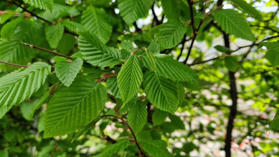 Samsung Galaxy S22+ Kameratest 18